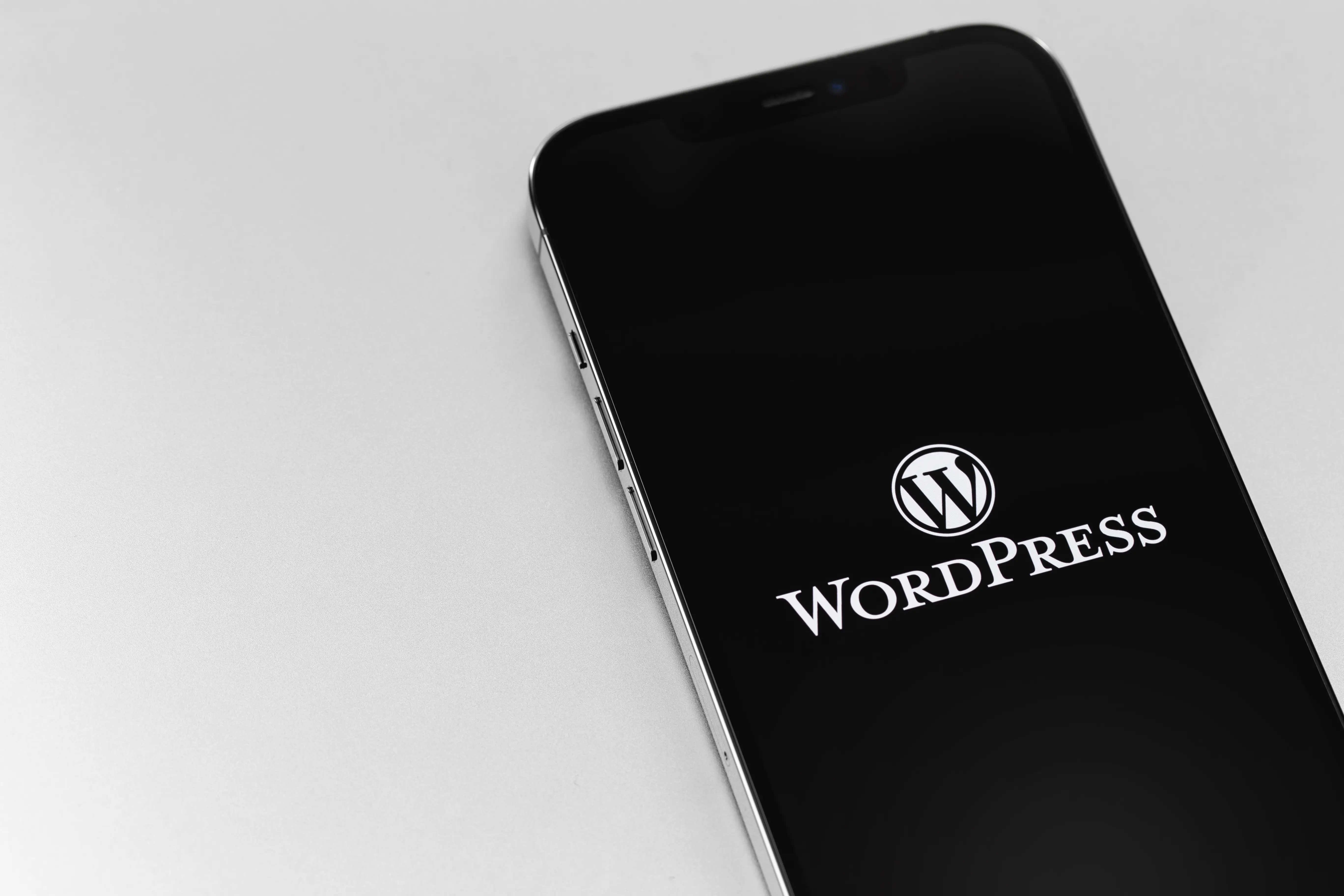wordpress has a lot of good selling points easy to use and incredibly user-friendly