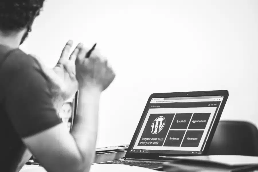 wordpress open source CMS with themes and plugins
